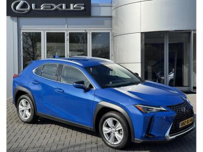 Financial Leas Lexus UX 250h Business Line