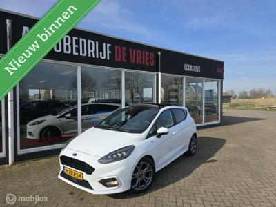 Financial Lease Ford Fiesta 1.0 EcoB ST-Line X Pano