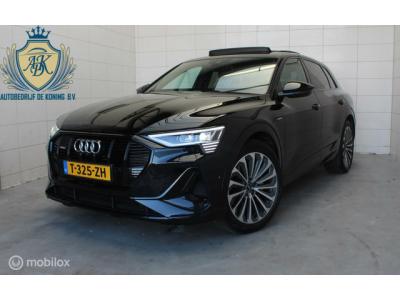Financial Leas Audi e-tron 50 quattro S-Line 3x night vision I pano BOM VOL