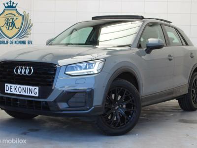 Financial Lease Audi Q2 35 TFSI CoD Sport Pano