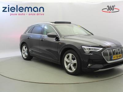 Financial Lease Audi e-tron 50 quattro Launch edition plus 71 kWh - Leer