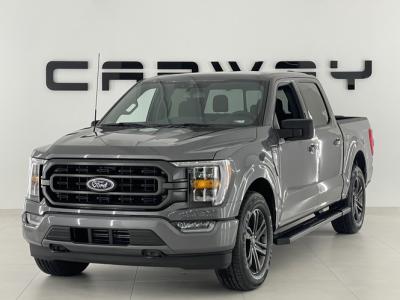 Financial Lease Ford USA F-150 2024 V6 EcoBoost SPORT BPM-VRIJ !