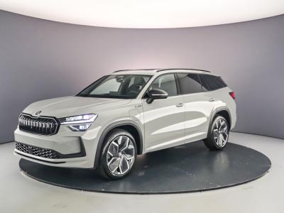 Financial Leas Škoda Kodiaq ŠKODA