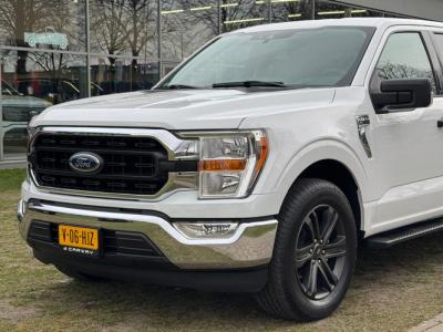 Financial Leas Ford USA F-150 5.0L V8 BPM-VRIJ