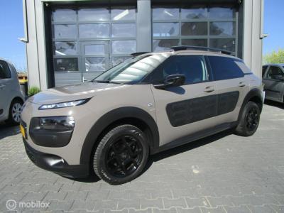 Financial Lease Citroën C4 Cactus 1.2 PureTech Shine Automaat Leder Camera Org NL