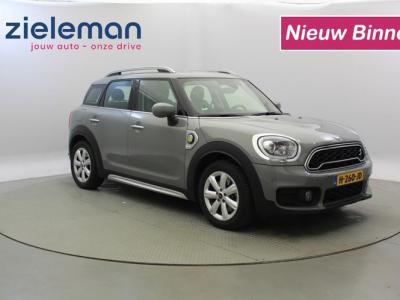 Financial Lease MINI Countryman 2.0 Cooper S E ALL4 Salt - Half Leer