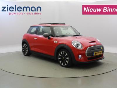 Financial Leas MINI Mini Electric Yours 33 kWh - Panorama