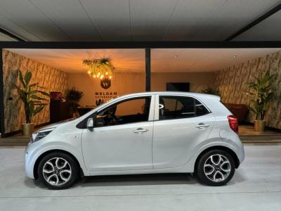 Financial Leas Kia Picanto 1.2 CVVT Garantie StuurVW StoelVW Cruise Clima Navi LED PDC Rijklaar