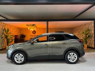Financial Lease Peugeot 3008 1.2 PureTech Blue Lease Executive NAP CarPlay 360 Camera PDC Lane Led Cruise Clima Navi Rijklaar