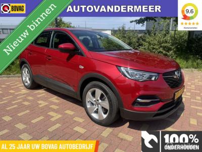 Financial Leas Opel Grandland X 1.6 Turbo Hybrid Business Edition