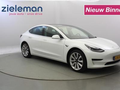 Financial Lease Tesla Model 3 Standard RWD Plus 60 kWh - panorama