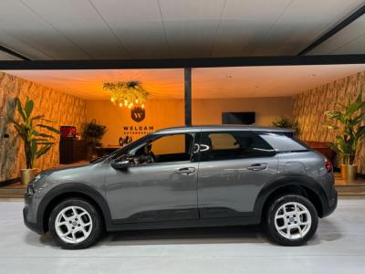 Financial Lease Citroën C4 Cactus 1.2 PureTech Shine Garantie CarPlay Cruise Clima Navi Led DAB Parkeerhulp Rijklaar