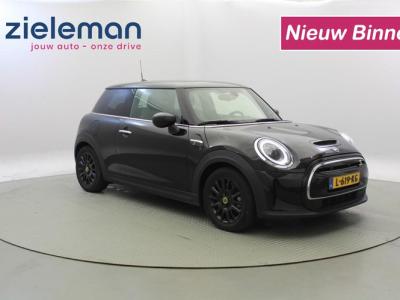 Financial Leas MINI Mini Electric Business Edition 33 kWh - Panorama