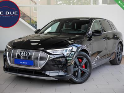 Financial Leas Audi e-tron 55 quattro advanced 95 kWh