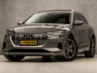 Financial Lease Audi e-tron e-tron 50 quattro Launch edition plus 71 kWh