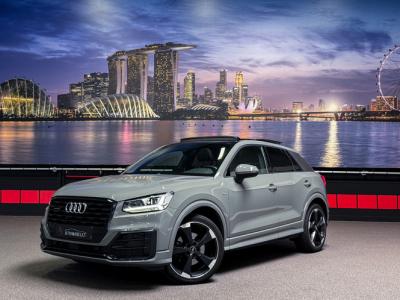 Financial Leas Audi Q2 40 TFSI quattro 3x S-Line Nardo