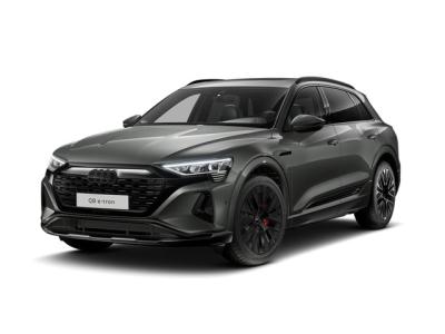 Financial Leas Audi Q8 e-tron 50 quattro 340 1AT Advanced edition