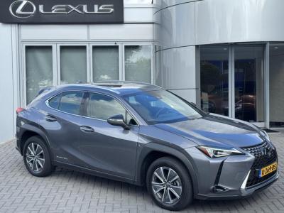 Financial Leas Lexus UX 300e Business 54 kWh