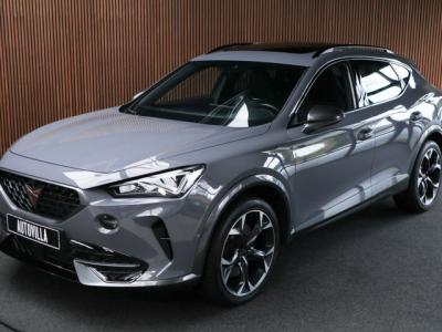 Financial Lease CUPRA Formentor 2.0 TSI 4DRIVE