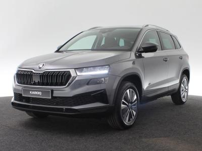 Financial Leas Škoda Karoq Business Edition 1.5 TSI 150 pk DSG