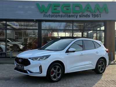 Financial Leas Ford Kuga 2.5 PHEV ST-LINE X 243pk