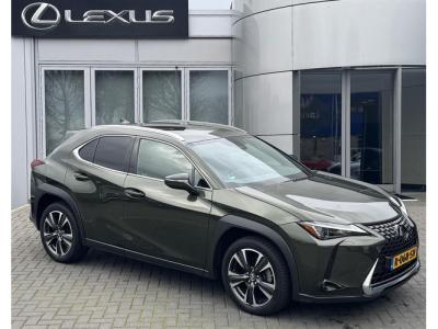Financial Leas Lexus UX 250h Business Line