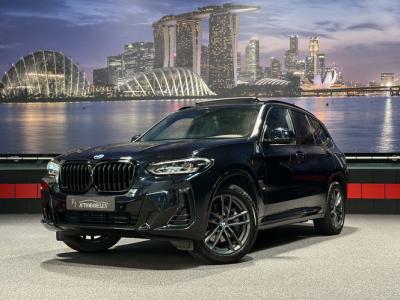 Financial Lease BMW X3 xDrive30e High Ex.