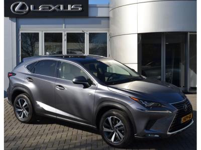 Financial Leas Lexus NX 300h AWD Executive Line