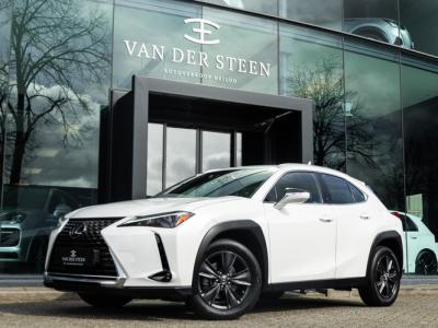 Financial Leas Lexus UX 250h Business Line