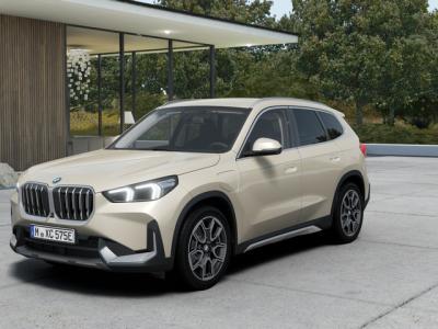 Financial Leas BMW X1 xDrive25e xLine Automaat
