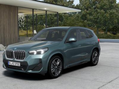 Financial Leas BMW X1 xDrive25e M Sport Automaat