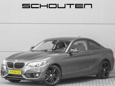 Financial Leas BMW 2 Serie Coupé 218i Executive Edition