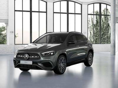 Financial Leas Mercedes-Benz GLA 250 e Business Solution AMG