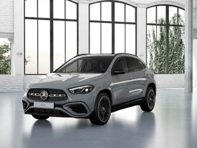 Financial Lease Mercedes-Benz GLA 250 e Business Solution AMG