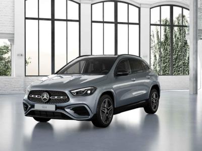 Financial Lease Mercedes-Benz GLA 250 e Business Solution AMG