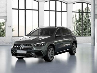 Financial Lease Mercedes-Benz GLA 250 e Business Solution AMG