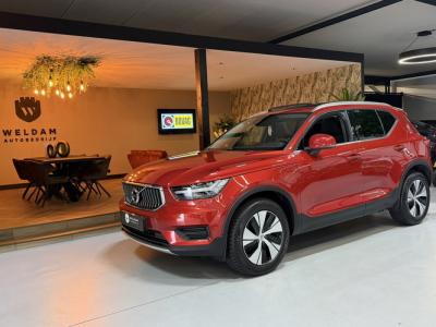 Financial Leas Volvo XC40 1.5 T4 Recharge Inscription Expression SOH 96%