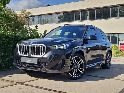 Financial Leas BMW X1 xDrive30e