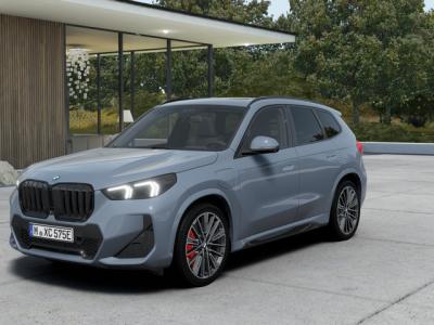 Financial Leas BMW X1 xDrive25e M Sport Automaat