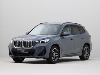 Financial Lease BMW iX1 xDrive30 Launch Edition