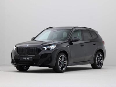 Financial Lease BMW iX1 xDrive30 Launch Edition