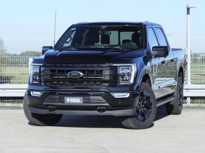 Financial Leas Ford USA F-150 5.0 V8