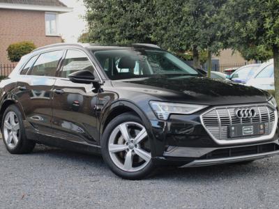 Financial Lease Audi e-tron E-tron 50 Quattro Launch Edition 71 kWh Luchtvering Trekhaak Memory 20''