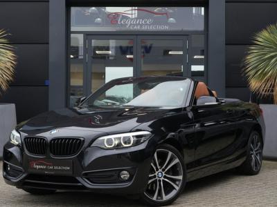 Financial Leas BMW 2 Serie Cabrio 220i High Executive